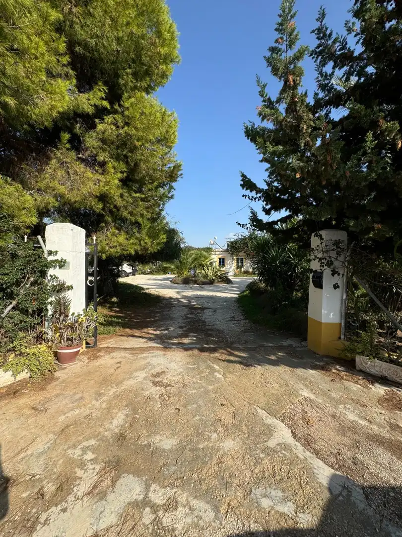 Vista exterior de Finca rústica en venda en Elche / Elx amb Aire condicionat, Calefacció i Jardí privat