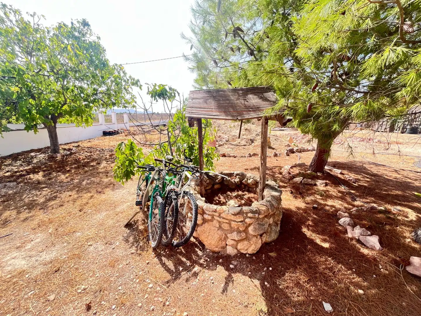 Jardín de Finca rústica en venta en Novelda con Aire acondicionado, Calefacción y Jardín privado