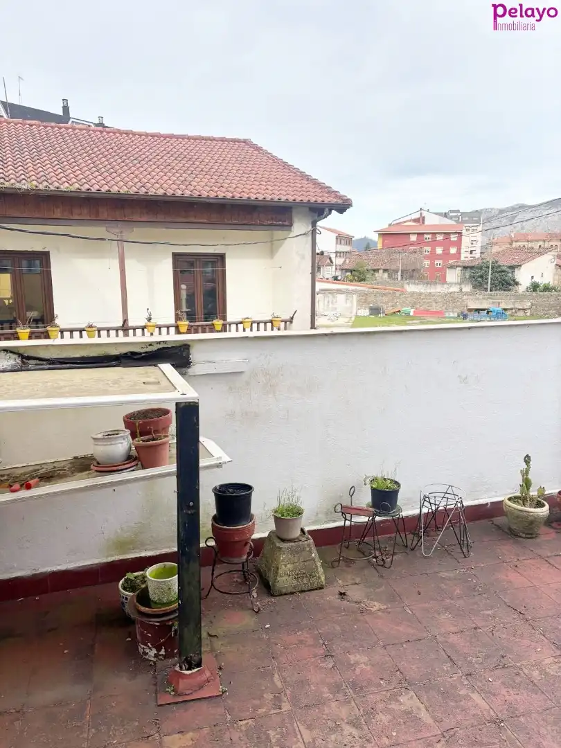 Wohnung mit Garten zum Verkauf in Calle Monte Brazo, imagen 29