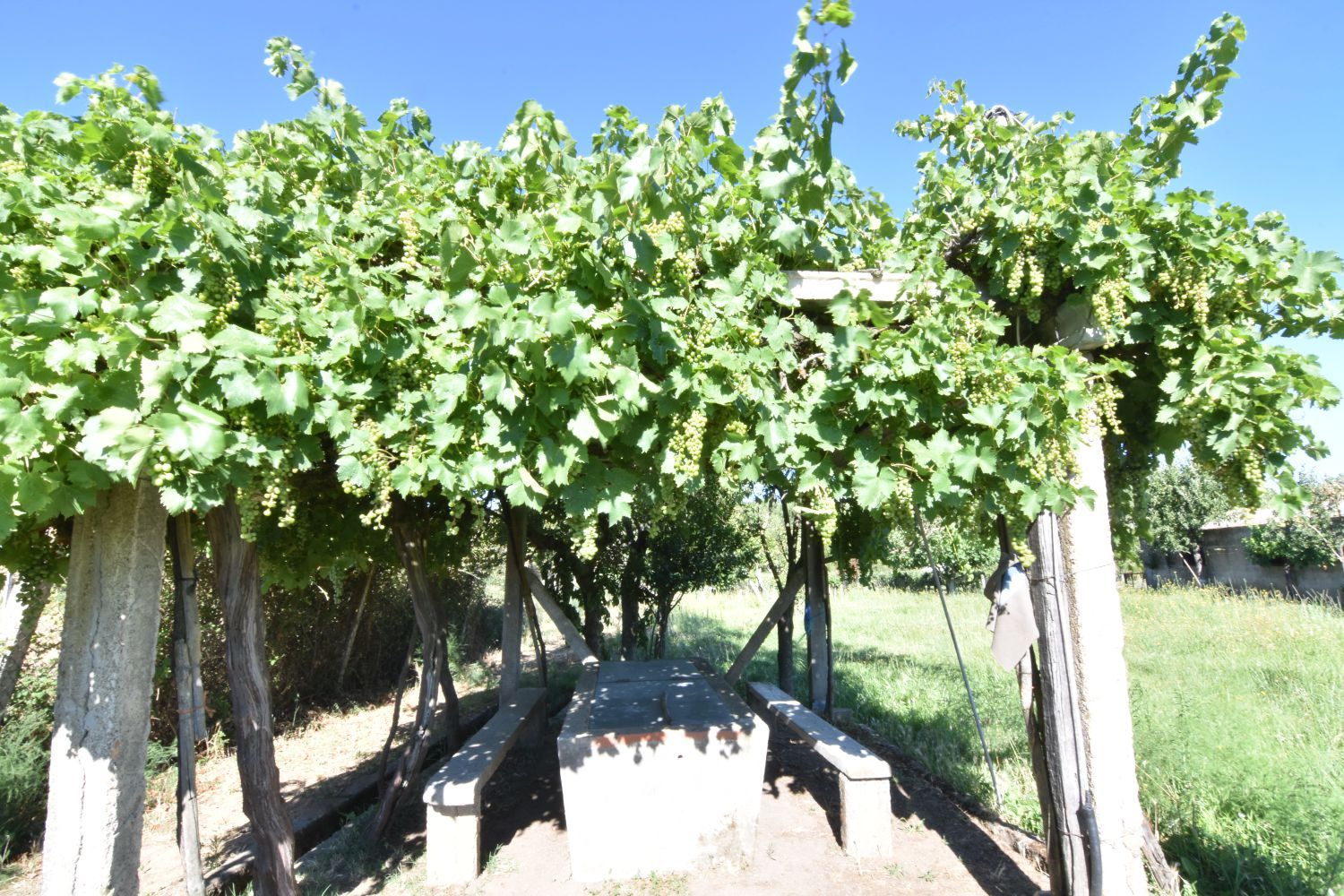 Garden of Country house for sale in Ciudad Rodrigo