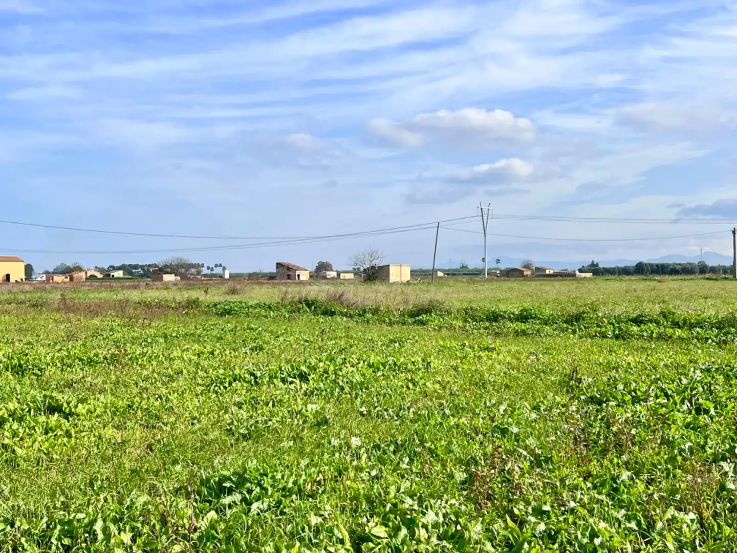 Finca rústica en venta en Sa Pobla