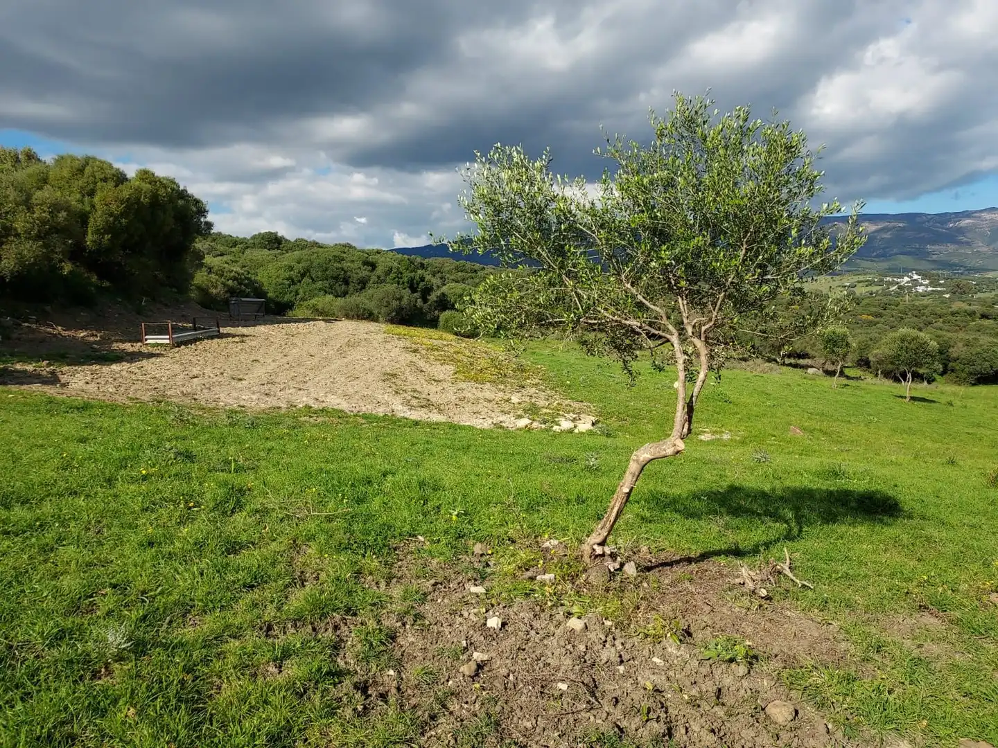 Terreni e lotti in vendita a Tarifa ciudad, imagen 3