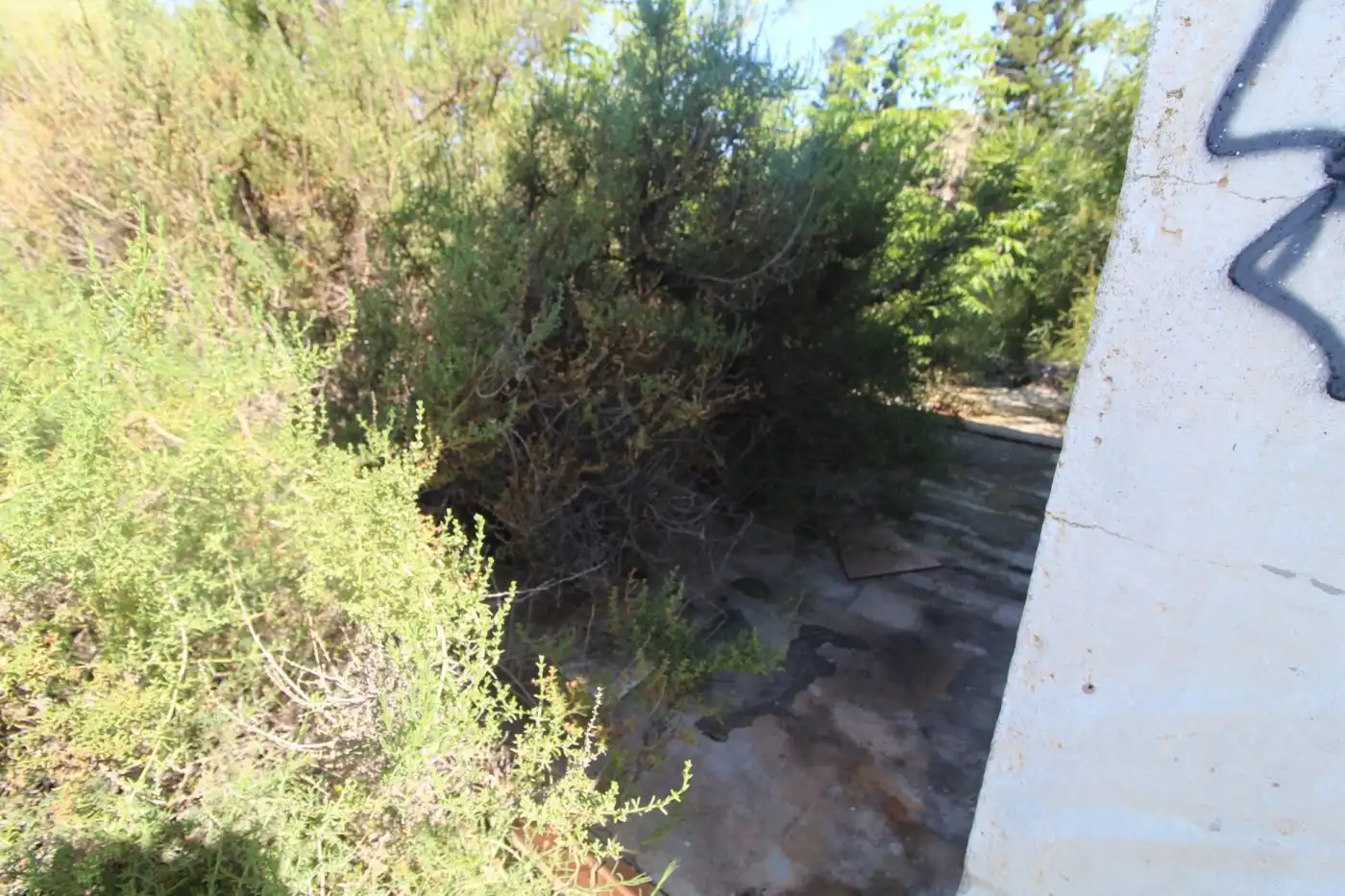 Edificio en venta en Monforte del Cid