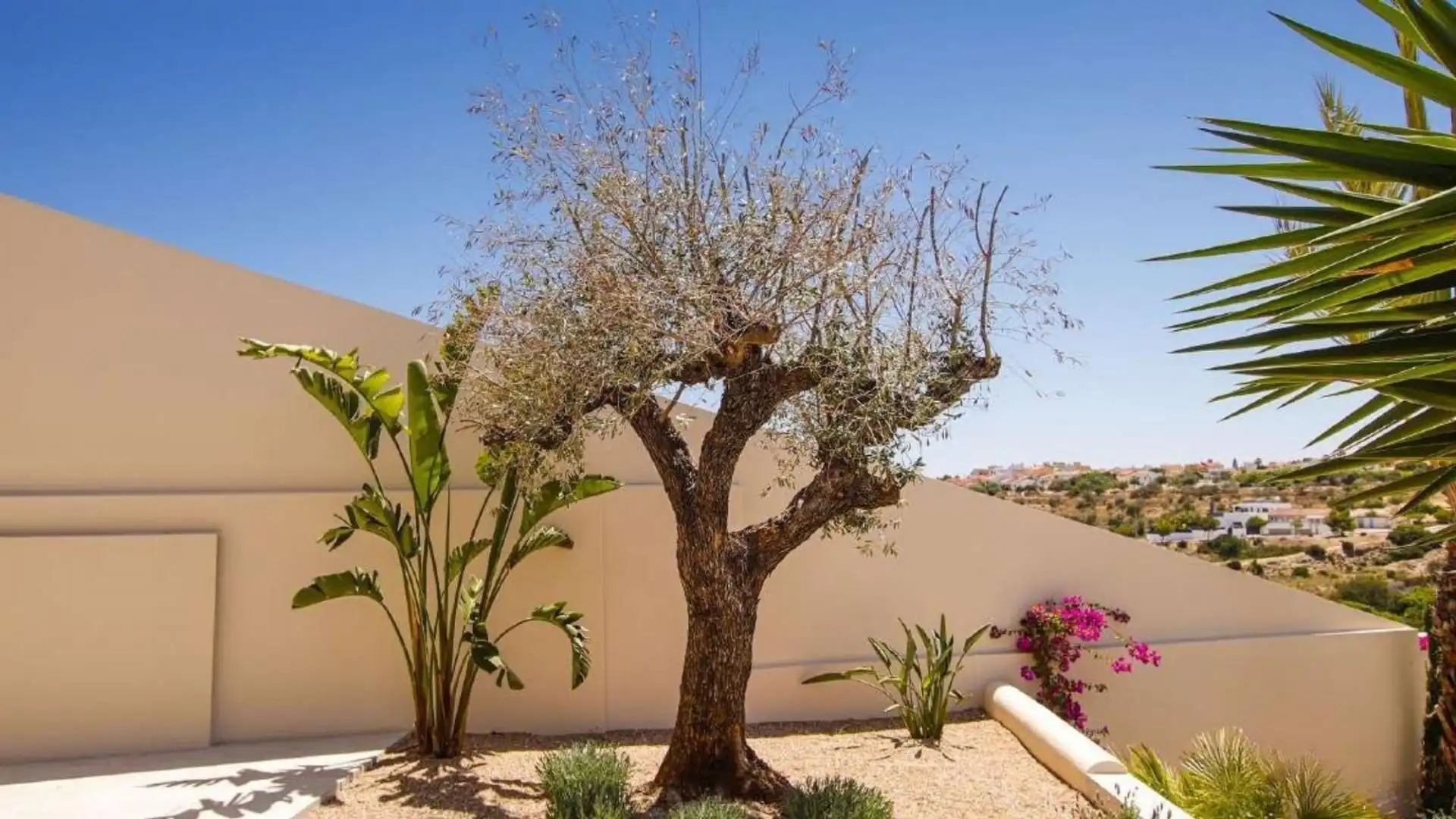Chalet en venta en San Fulgencio, imagen 21