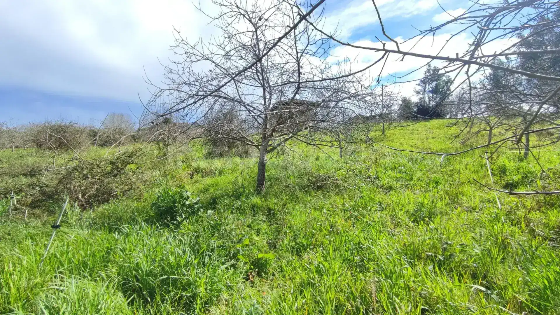 Terreny residencial en venda a Candamo, imagen 3