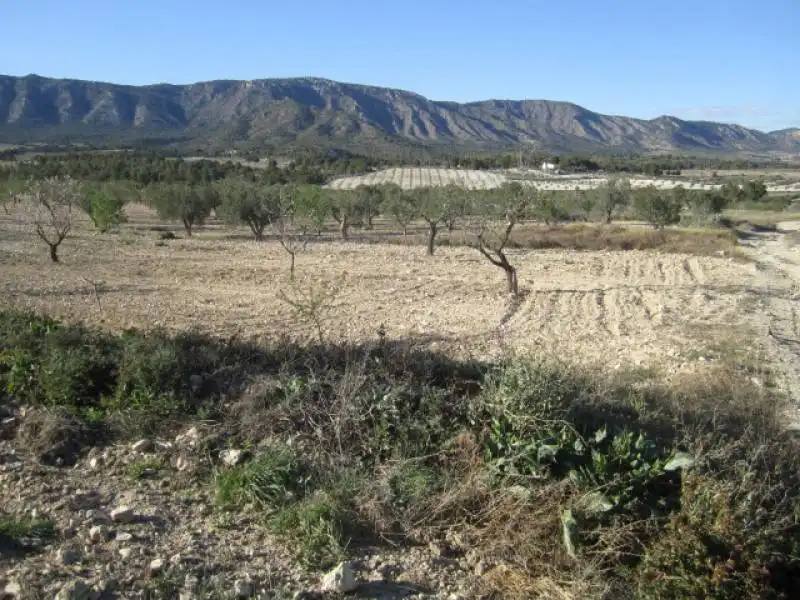 Casa en venda a Salinas, imagen 26