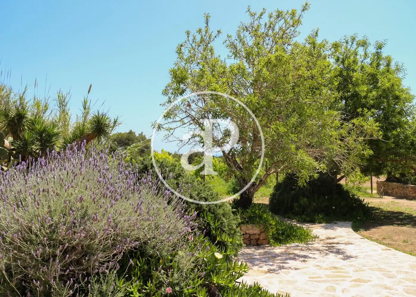 Jardín de Casa o chalet en venta en Formentera con Aire acondicionado, Calefacción y Jardín privado