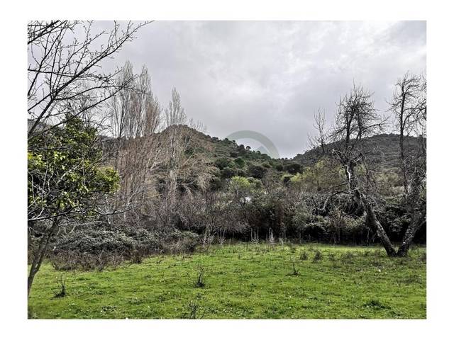 Casa-chalet en Venta en Algatocín