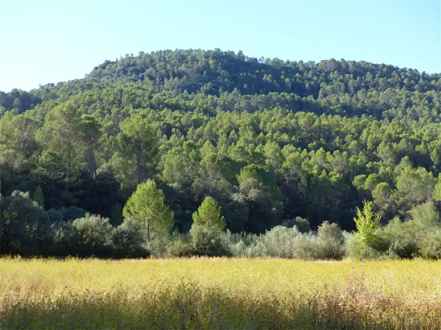 Finca rústica en venda en Cotillas