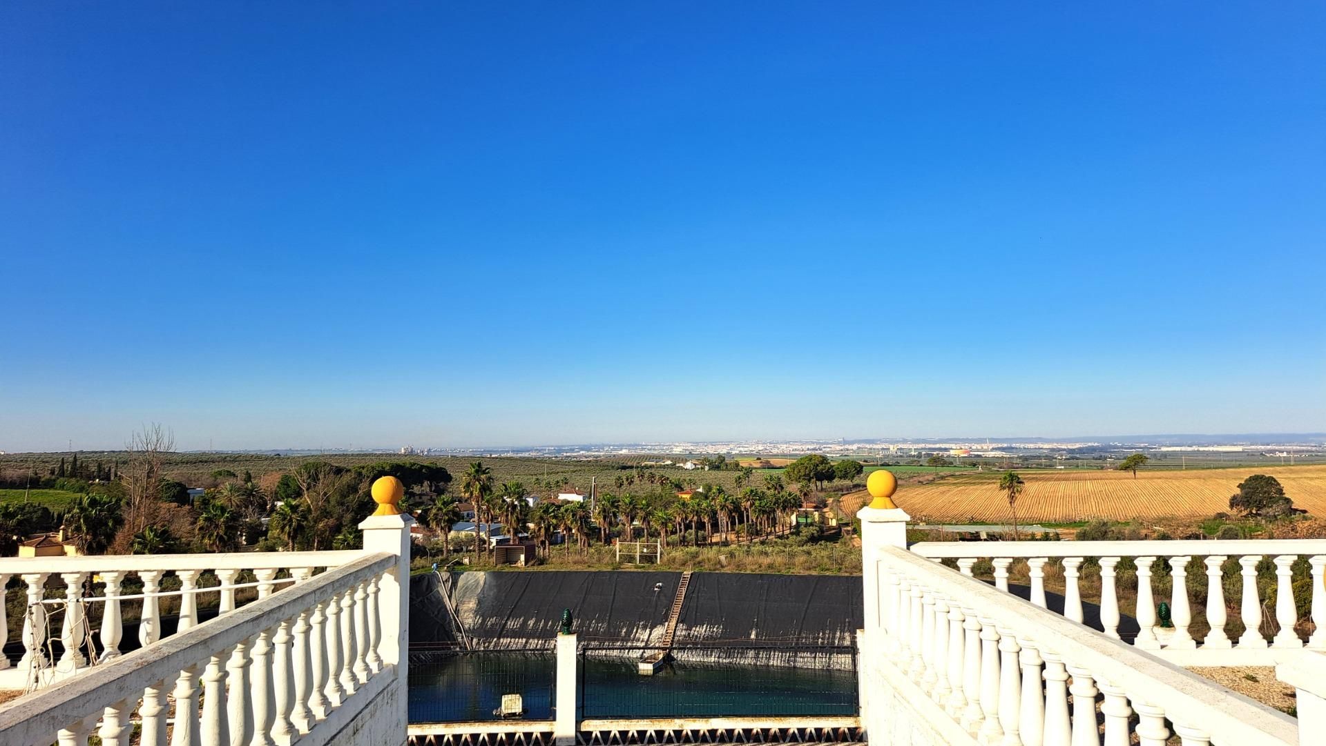 Exterior view of Country house for sale in Mairena del Alcor  with Air Conditioner, Private garden and Terrace