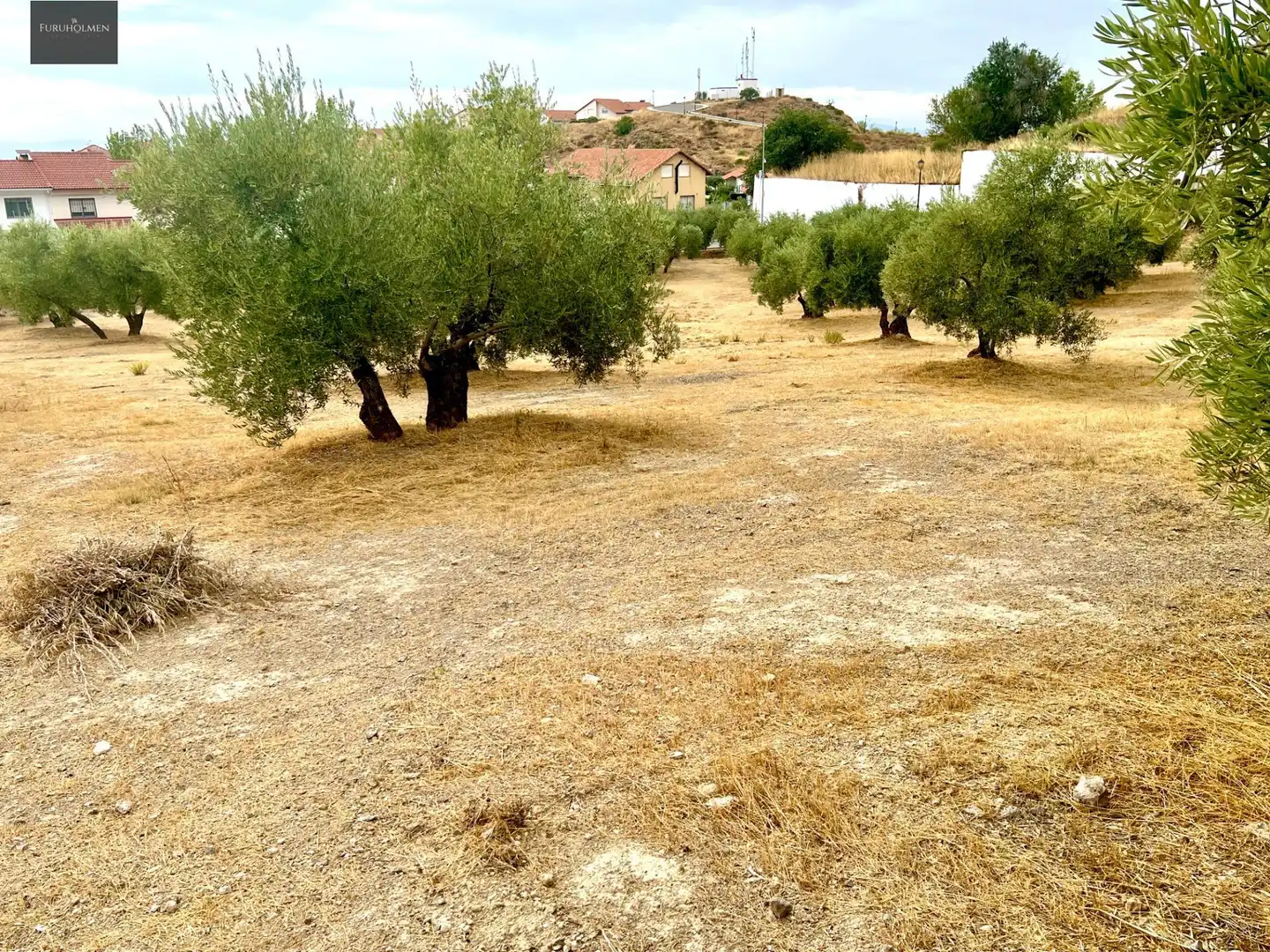 Rustikales Grundstück zum Verkauf in Nívar, imagen 12