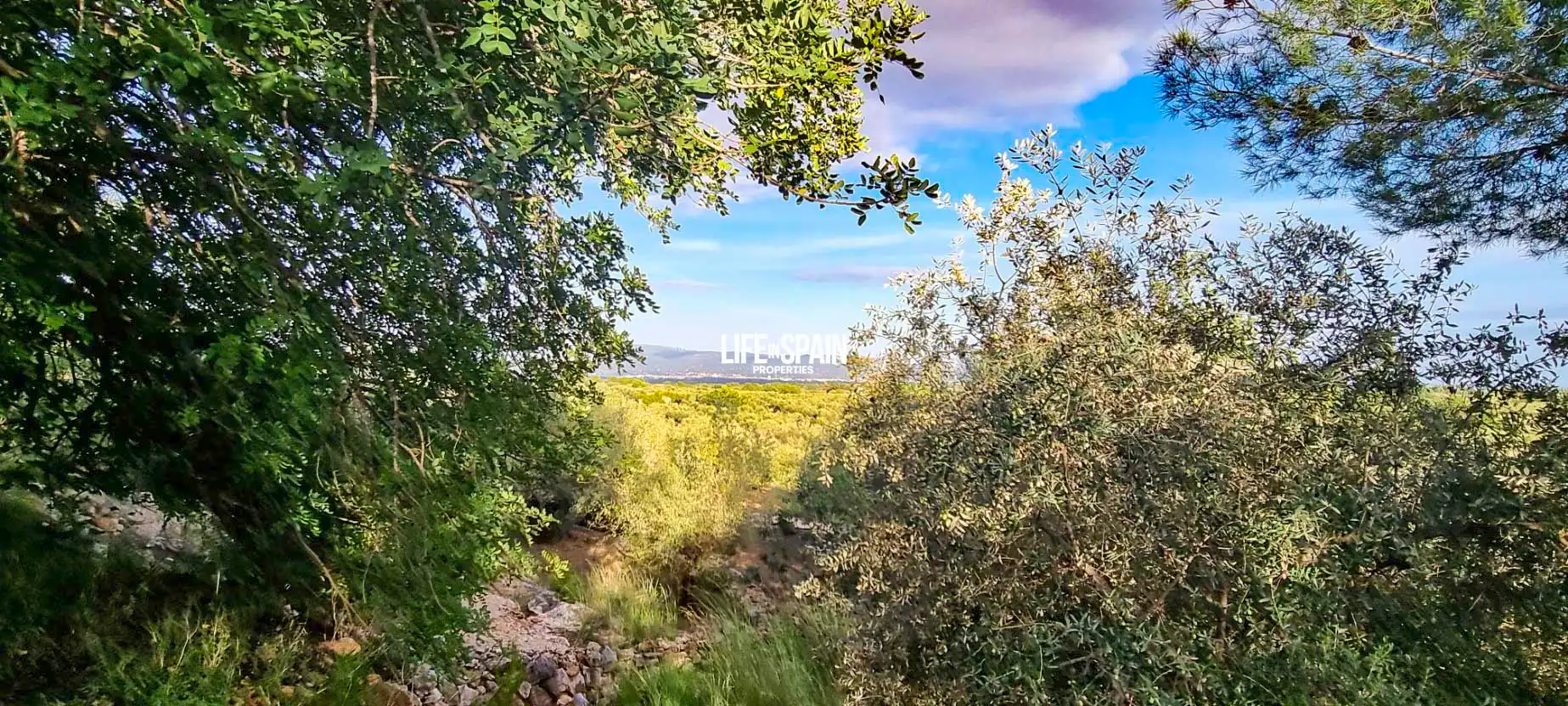 Finca rústica en venda en Roquetes amb Jardí privat i Piscina