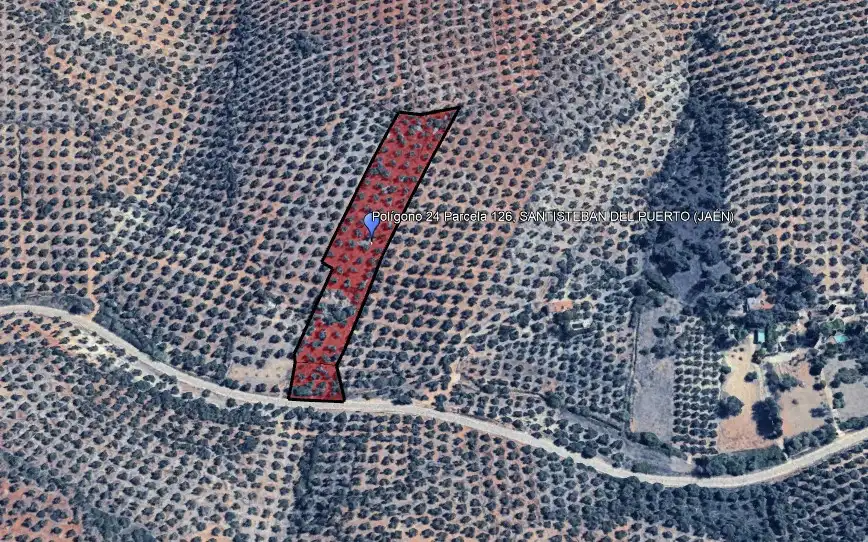 Land for sale in Montizón