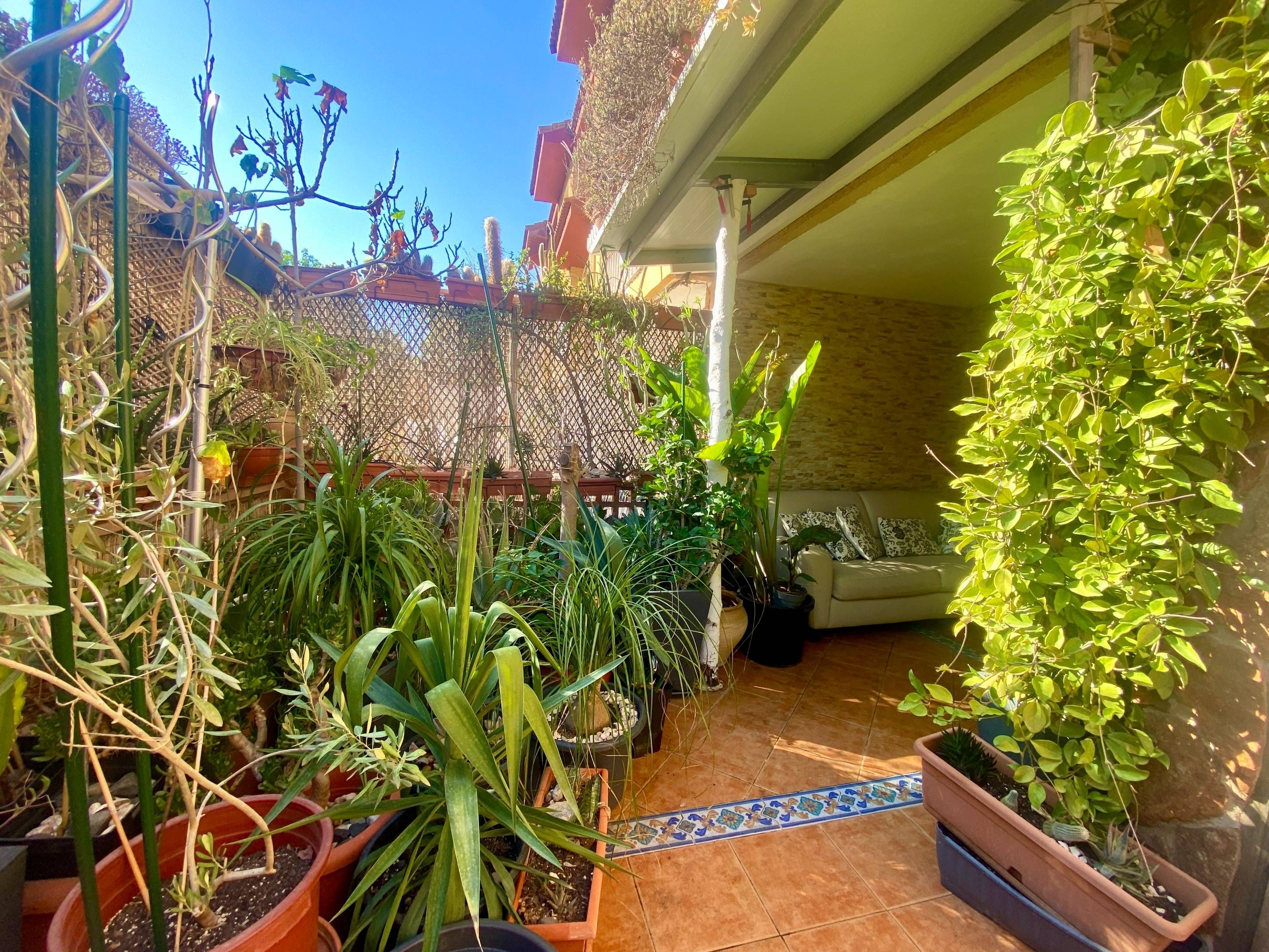 Jardí de Casa o xalet en venda en  Murcia Capital amb Calefacció, Jardí privat i Terrassa