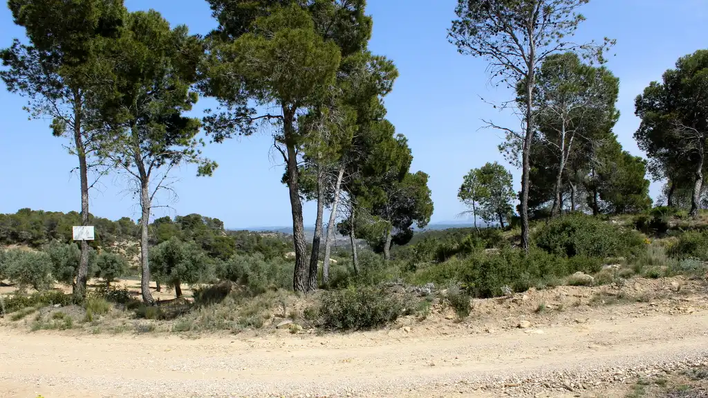 Finca rústica en venda en Maella