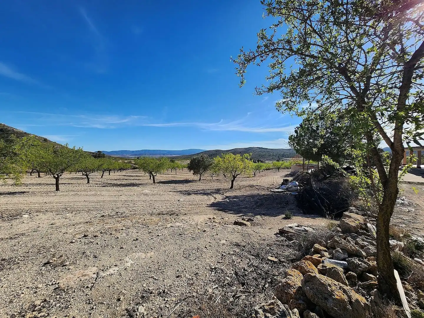Finca rústica en venta en Caudete con Terraza