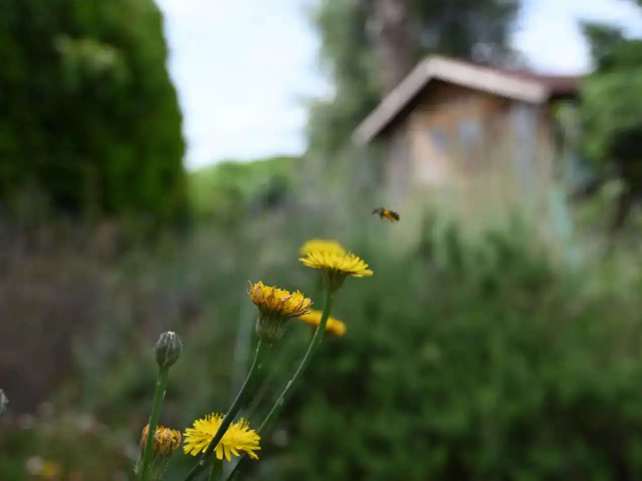 Jardí de Casa o xalet en venda en Sant Antoni de Vilamajor amb Aire condicionat i Balcó
