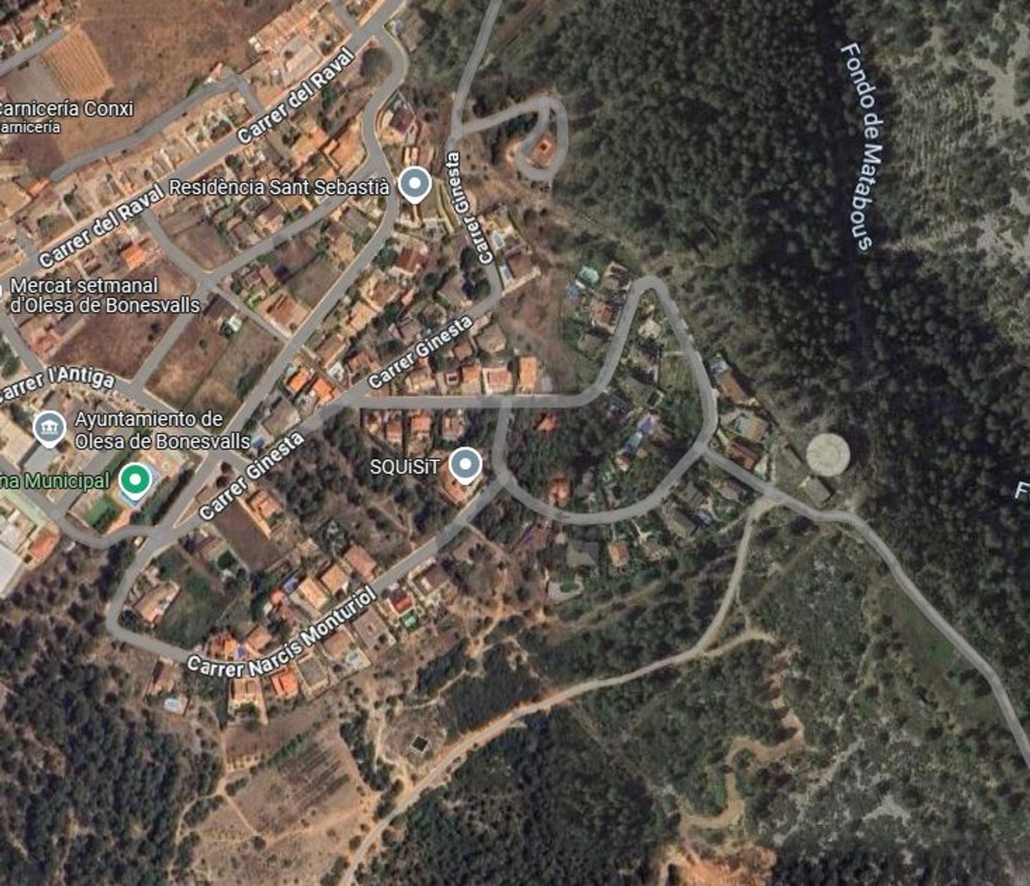 Exterior view of House or chalet for sale in Olesa de Bonesvalls