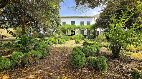 Finca Rústica con Casa de Campo, immagine 5