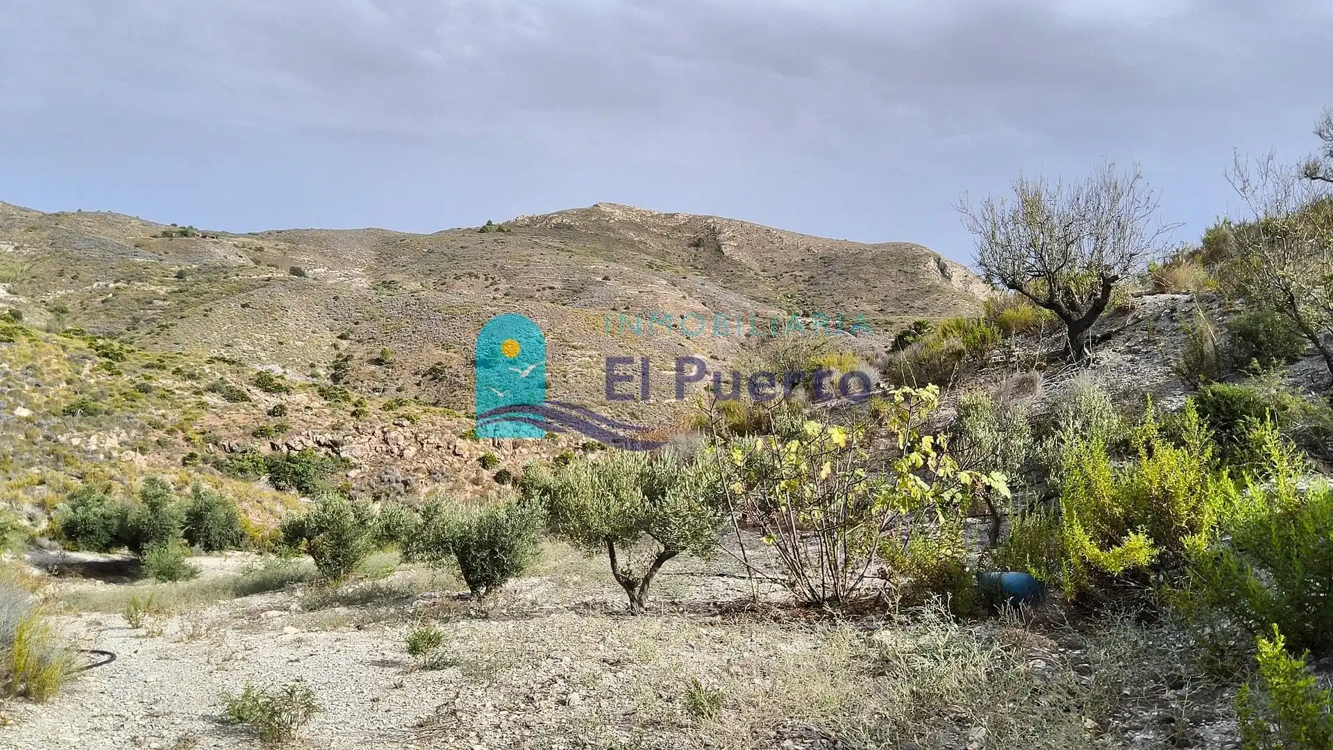 Terreno rústico en venta en Pedanías Oeste, imagen 6