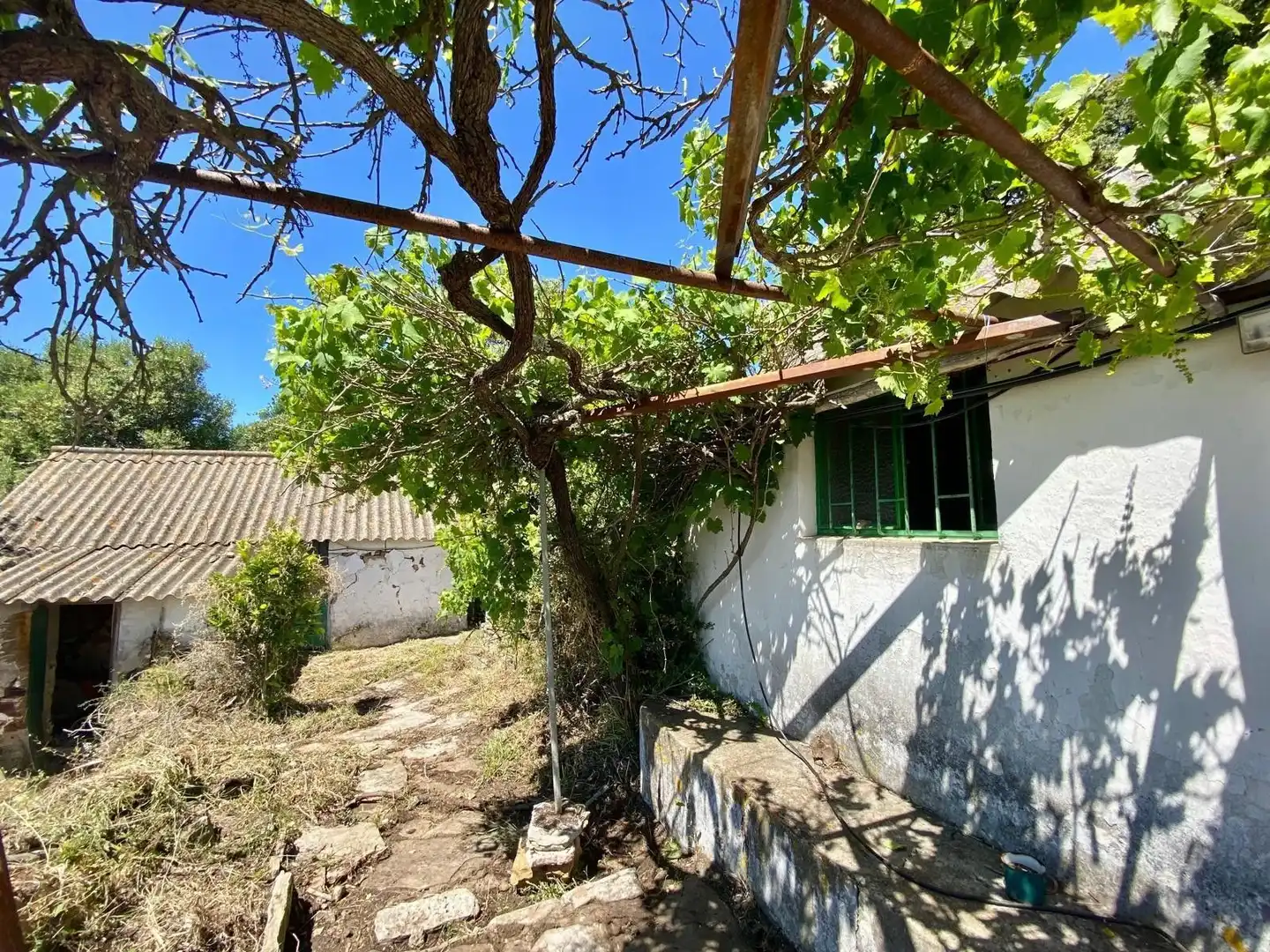 Finca rústica en venda a Tarifa ciudad