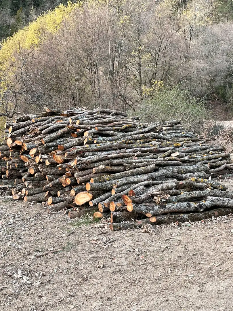 Außenansicht von Grundstücke zum Verkauf in Castellar del Riu