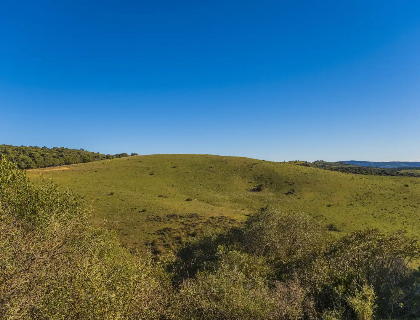 Finca rústica en venda en San Martín del Tesorillo amb Aire condicionat, Jardí privat i Terrassa