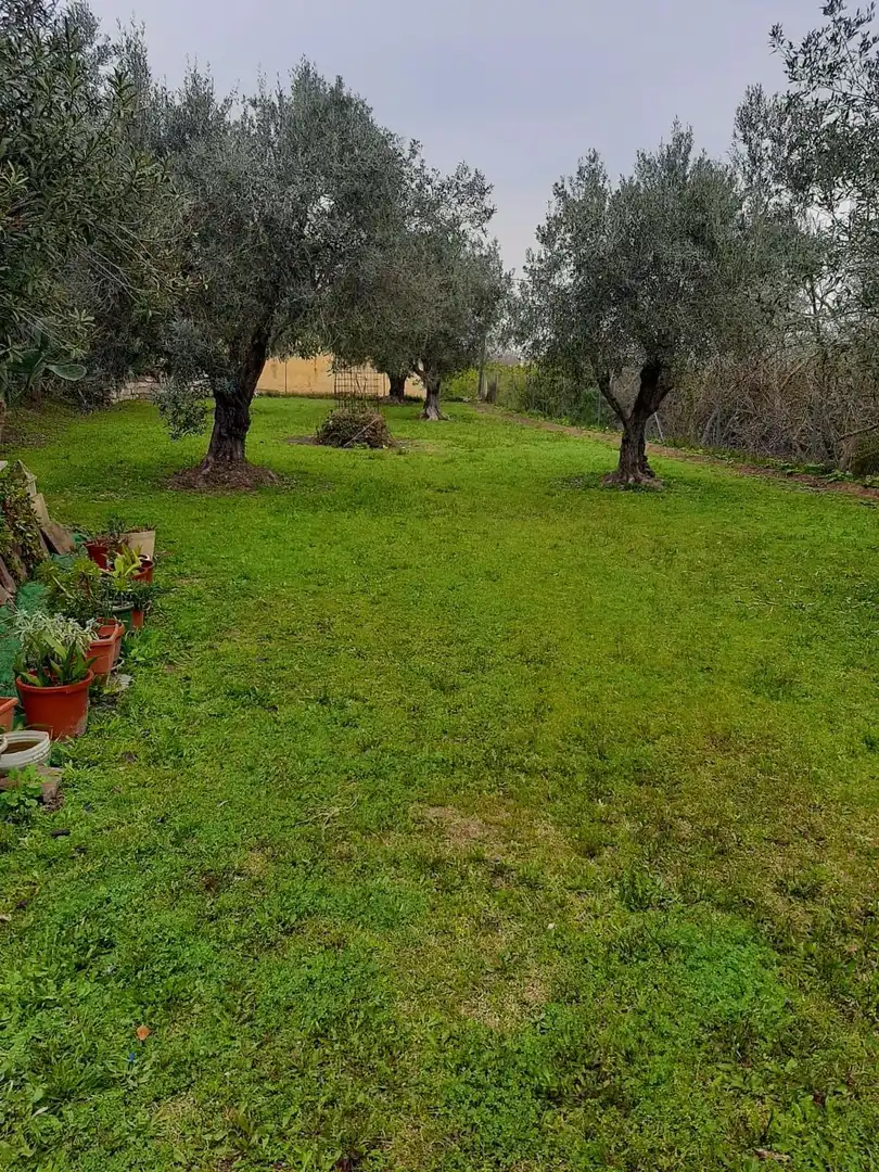 Casa o xalet en venda en Dénia amb Calefacció, Jardí privat i Piscina