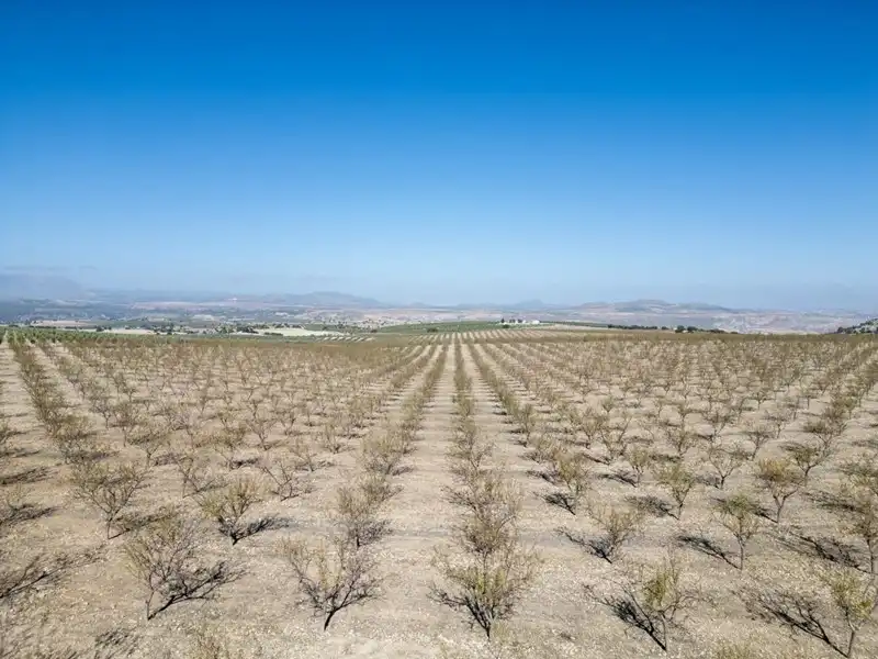 Terreni e lotti in vendita a Alamedilla, imagen 14