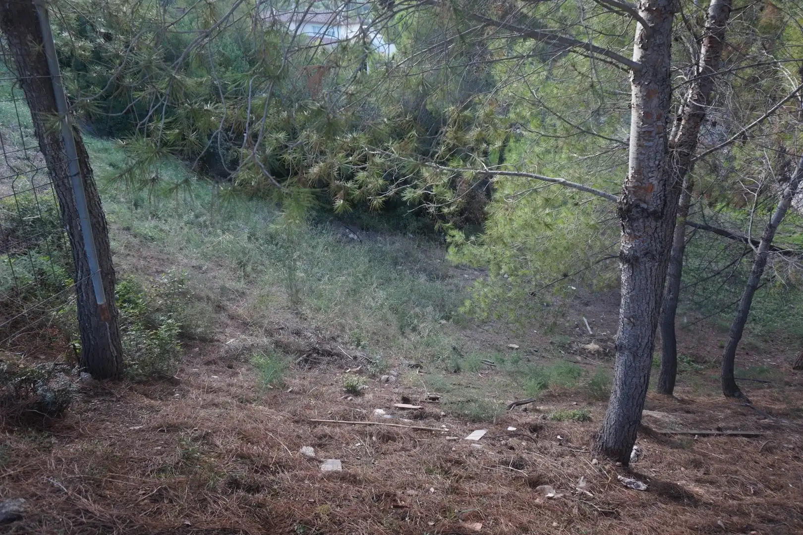 Terrenys i solars en venda a de l'Alzina, imagen 8