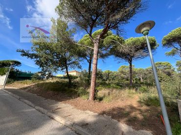Terreno residenziale in vendita a La Goba