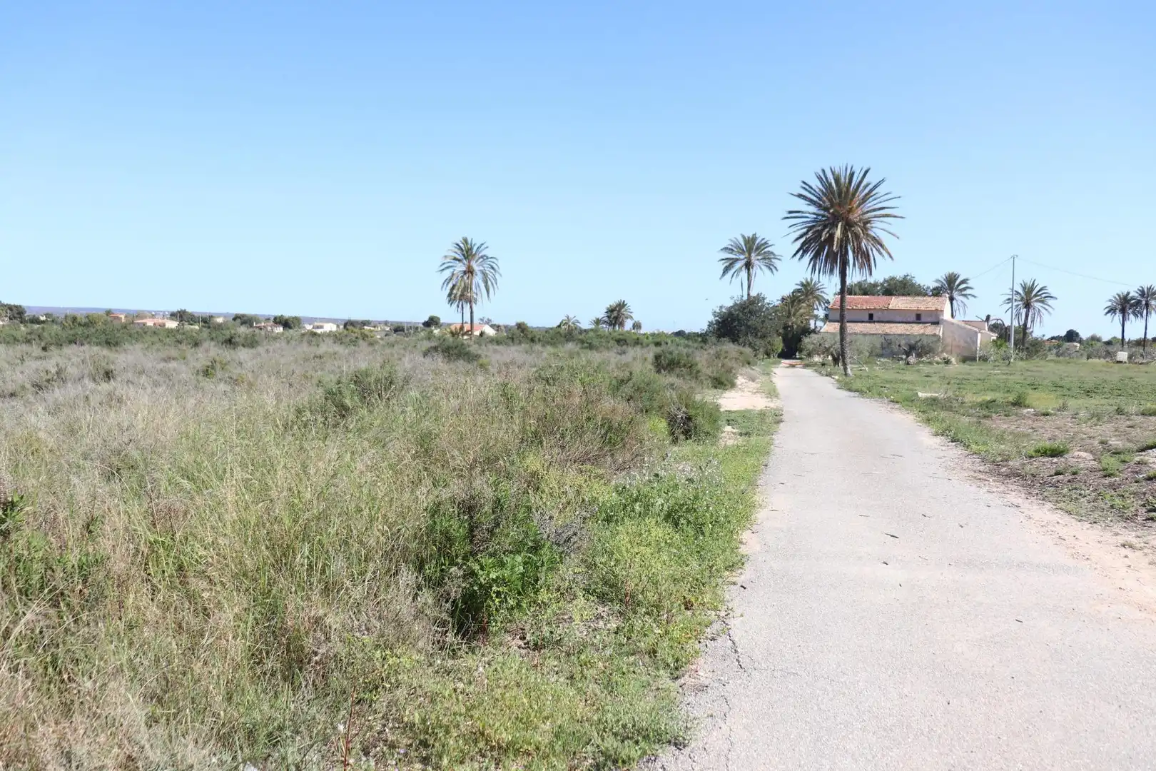 Grundstücke zum Verkauf in Elche / Elx