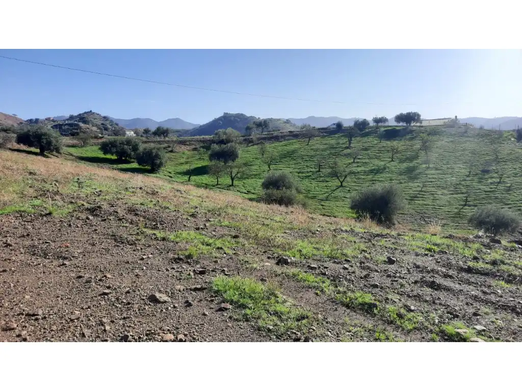 Terrenos y solares en venta en Almogía, imagen 8