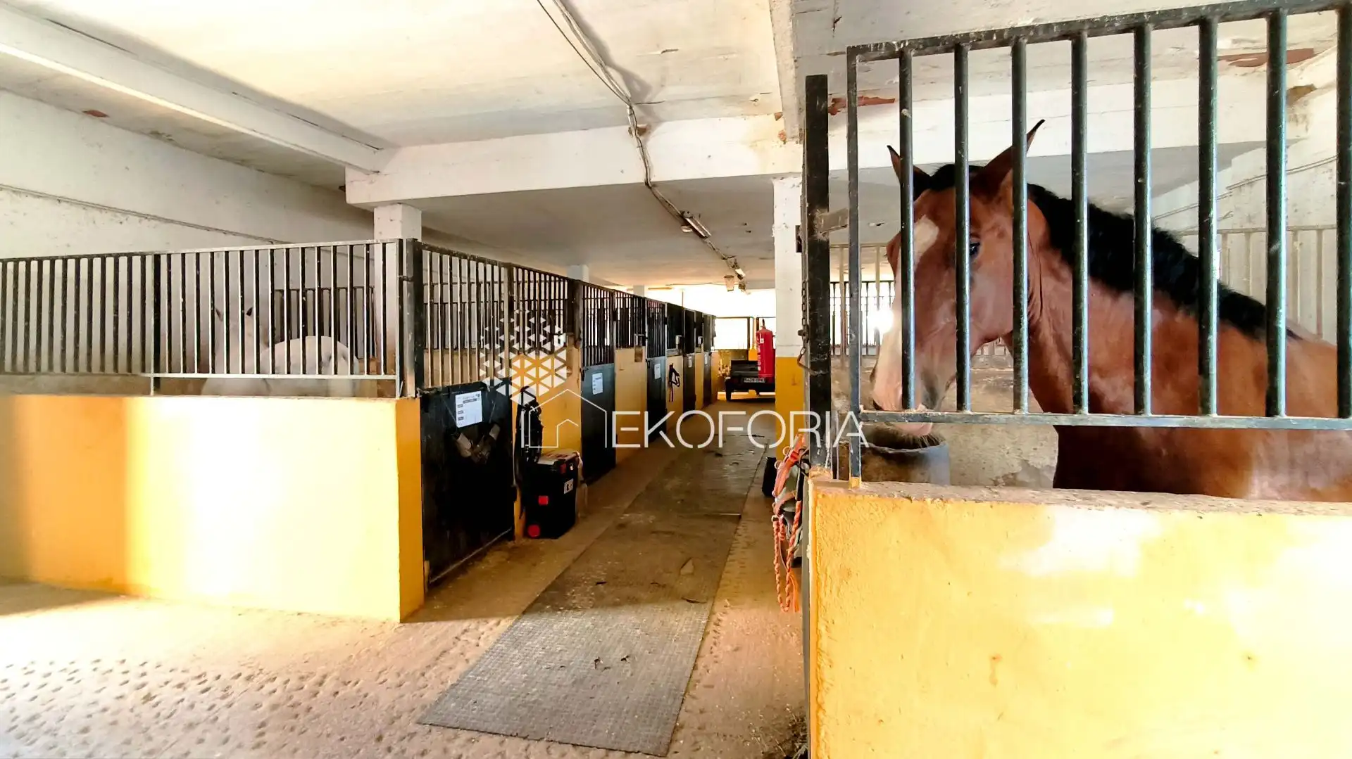 House for sale in Riba-roja de Túria, imagen 3