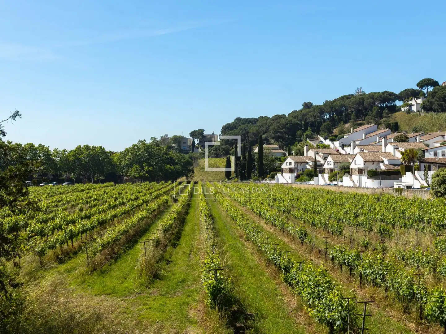 Finca rústica en venda en Alella amb Jardí privat, Terrassa i Traster
