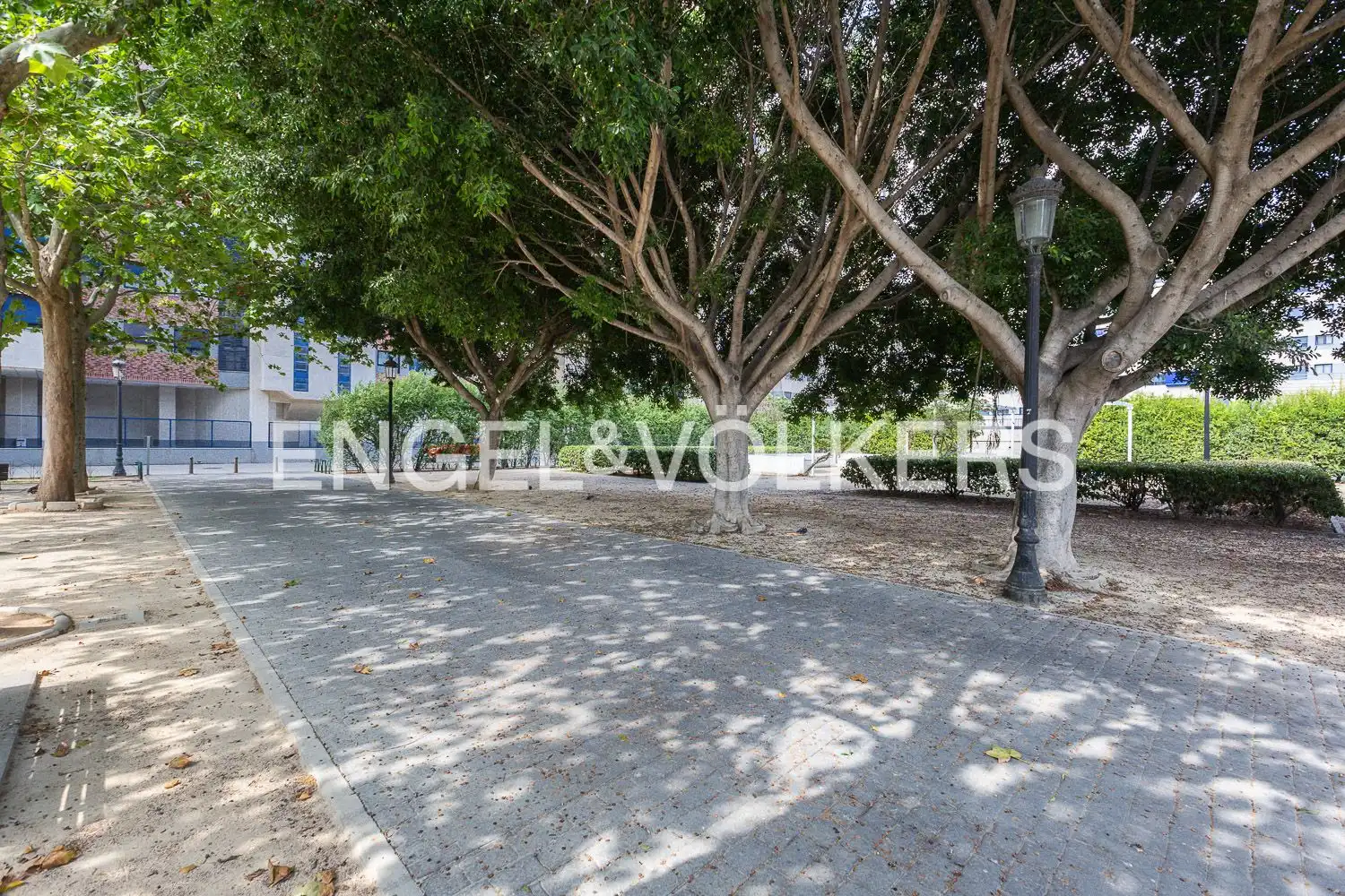 Piso de alquiler en Carrer de Rafael Lapesa Melgar Gramatic i Lingüist, Camí Reial