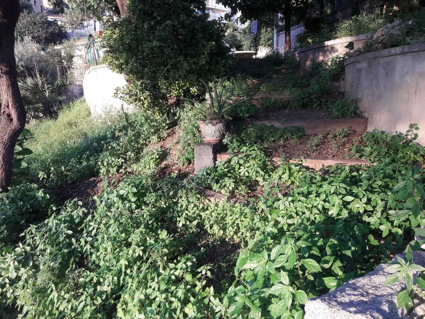 Terrenos y solares en venta en Pere Calders, imagen 31