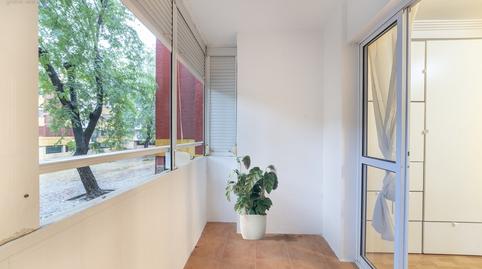 Foto 4 de Estudio de alquiler en La Oliva, Sevilla
