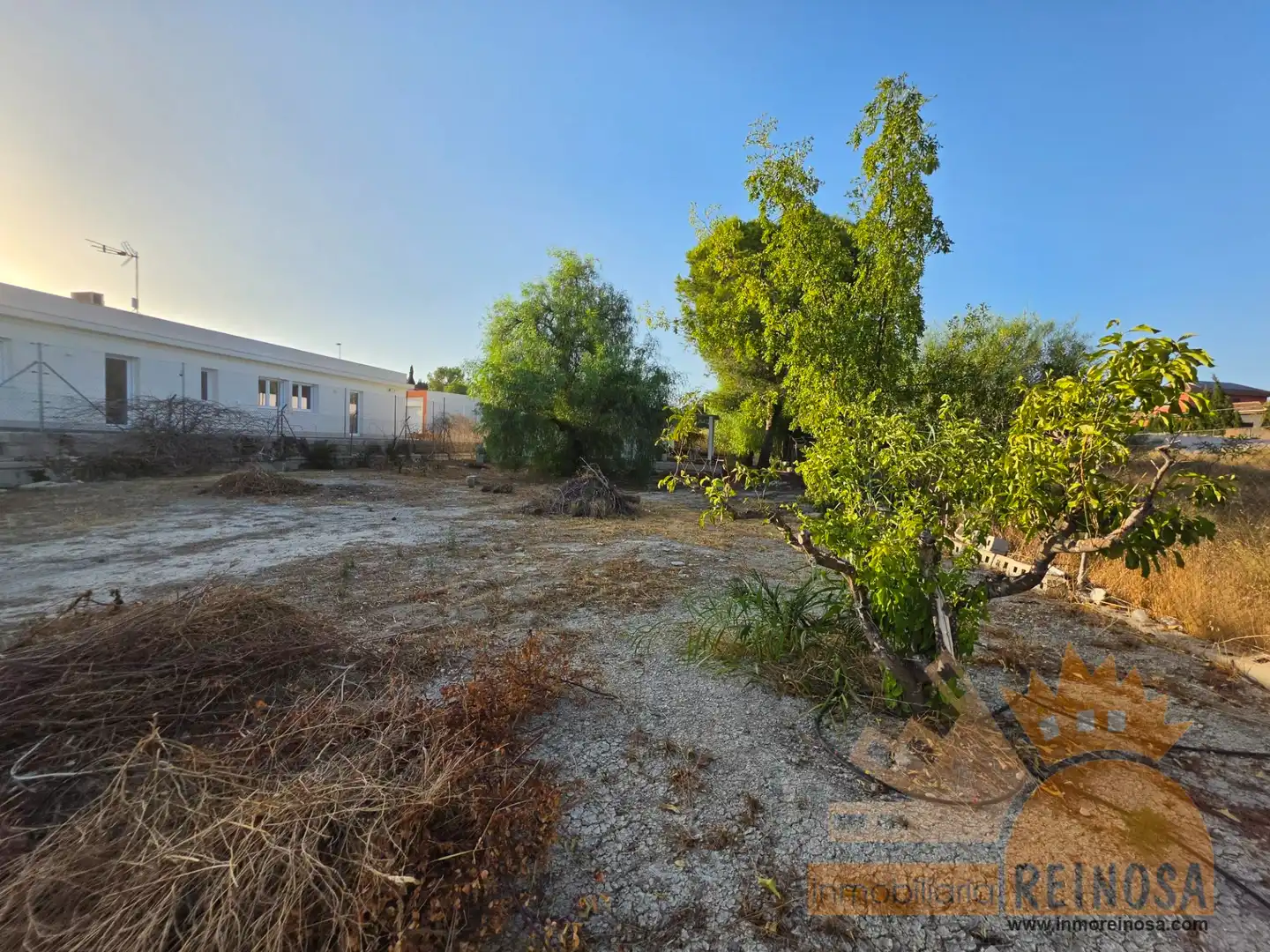Finca rústica en venta en Molina de Segura