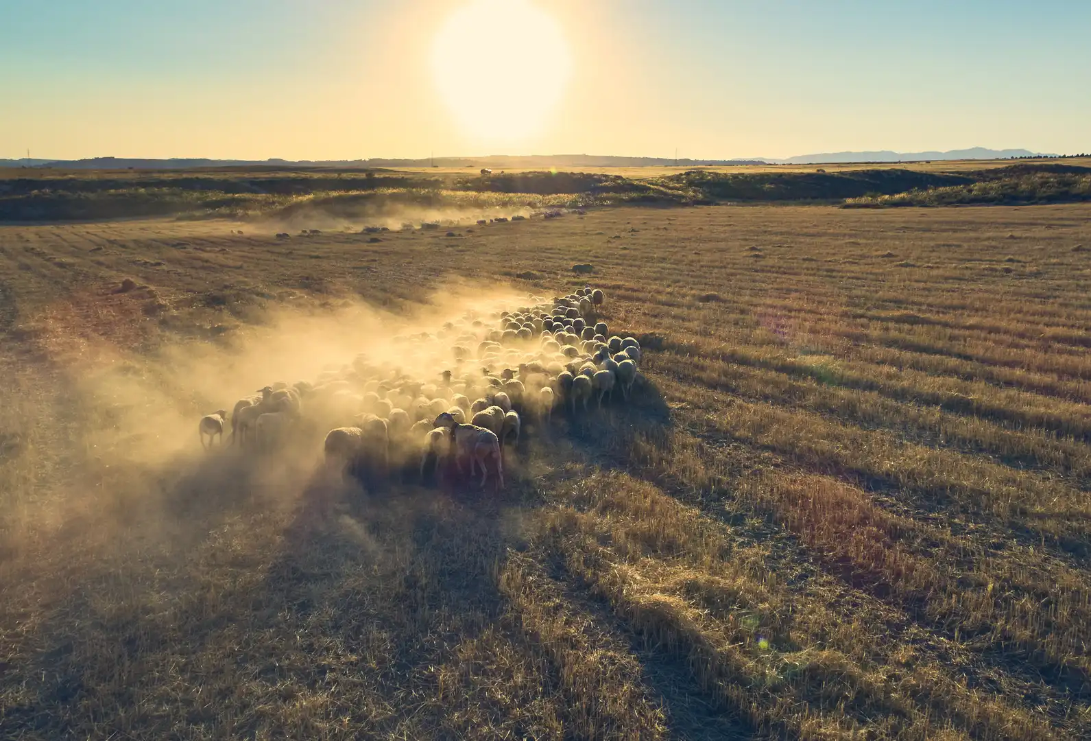 Vista exterior de Casa o chalet en venta en Benamaurel con Jardín privado, Terraza y Piscina