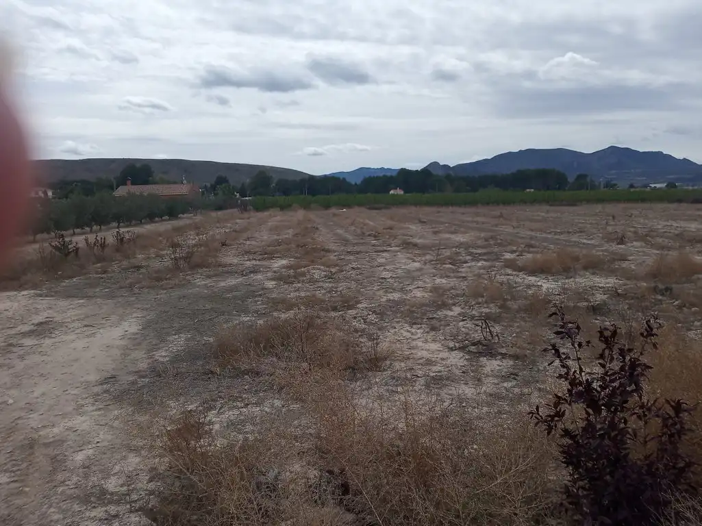 Rustikales Grundstück zum Verkauf in Cieza, imagen 10