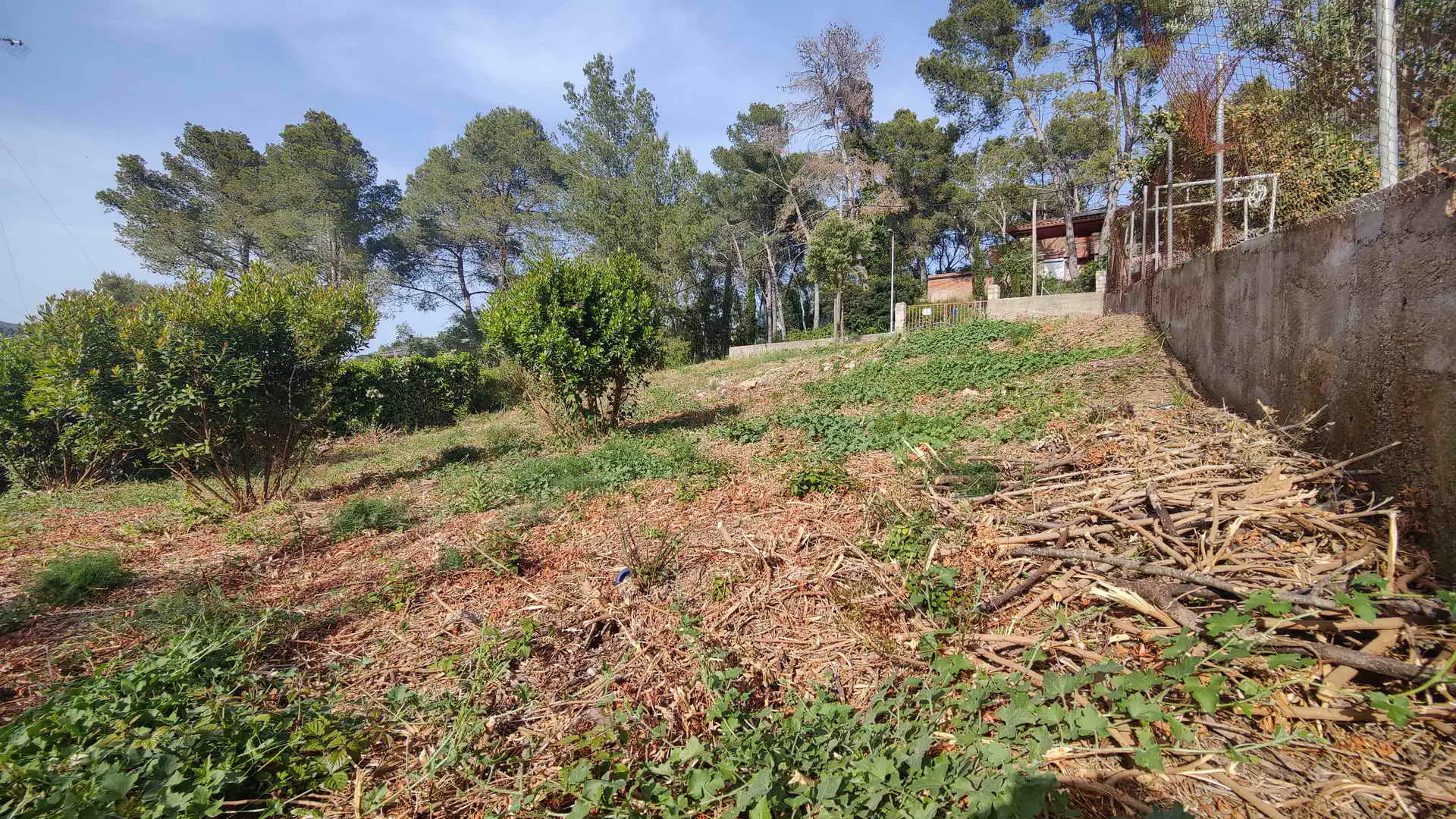 Terreny residencial en venda a Vallirana, imagen 6