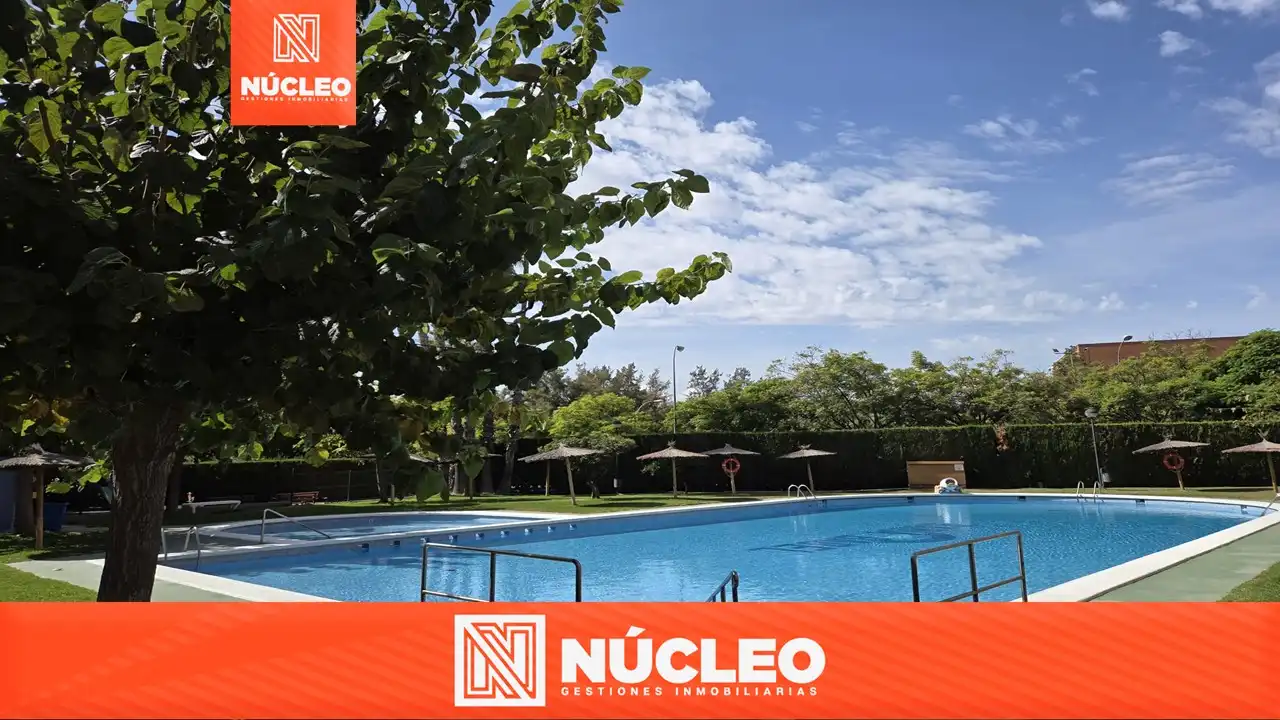 Swimming pool of Flat for sale in Benalúa - Babel