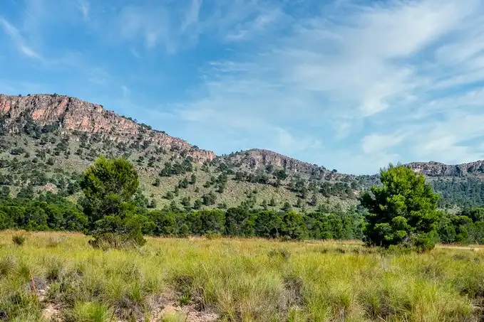 Rustikales Grundstück zum Verkauf in Paraje Fuente del Peral y Rincón del Majariego, Plg 6-7, imagen 11