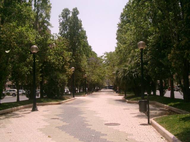 Local comercial en Alquiler en Alameda