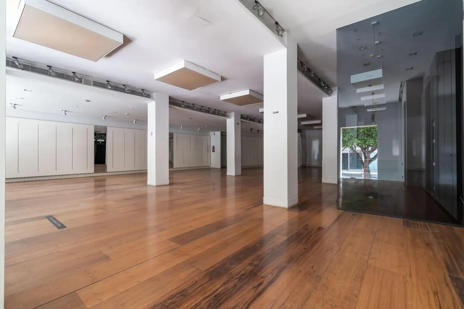 Local comercial en alquiler en Paseo de Almería 57, imagen 6