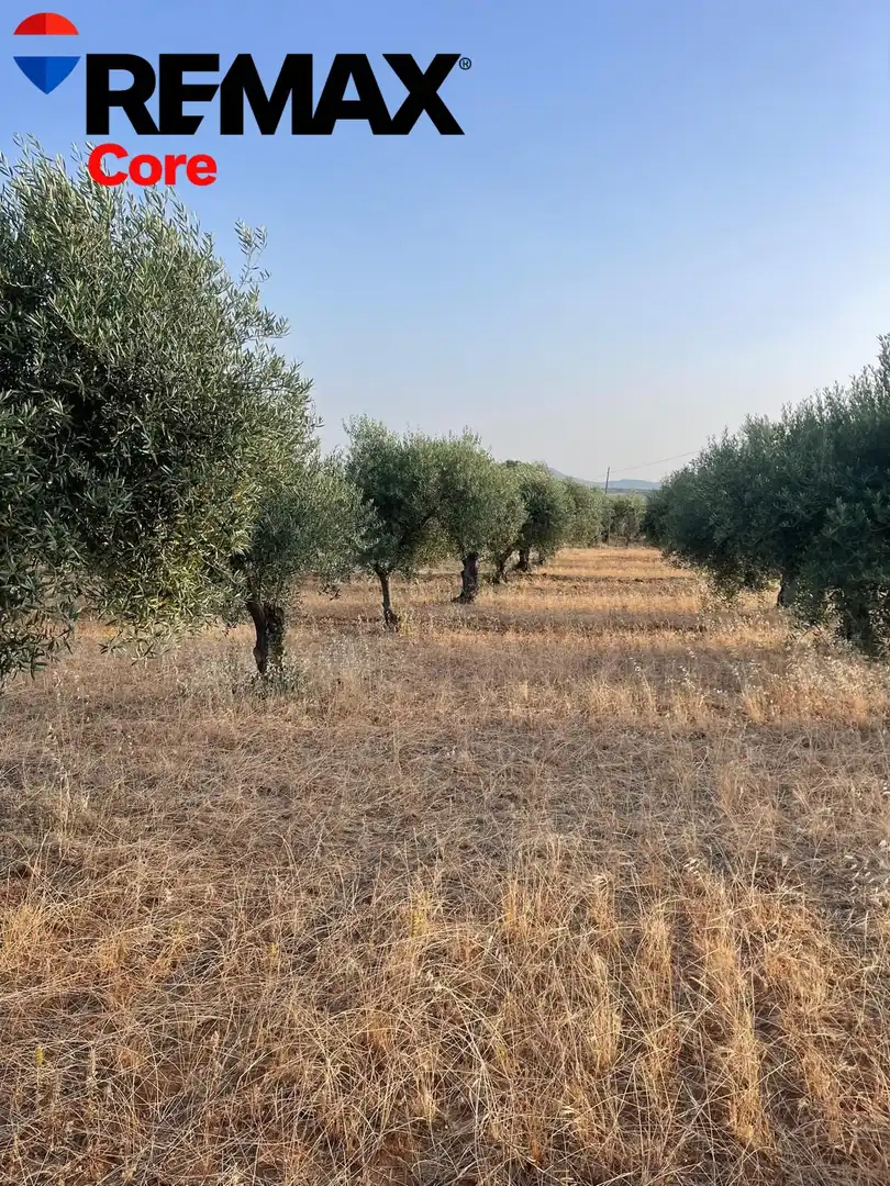 Casa o xalet en venda en Mérida amb Aire condicionat, Jardí privat i Terrassa