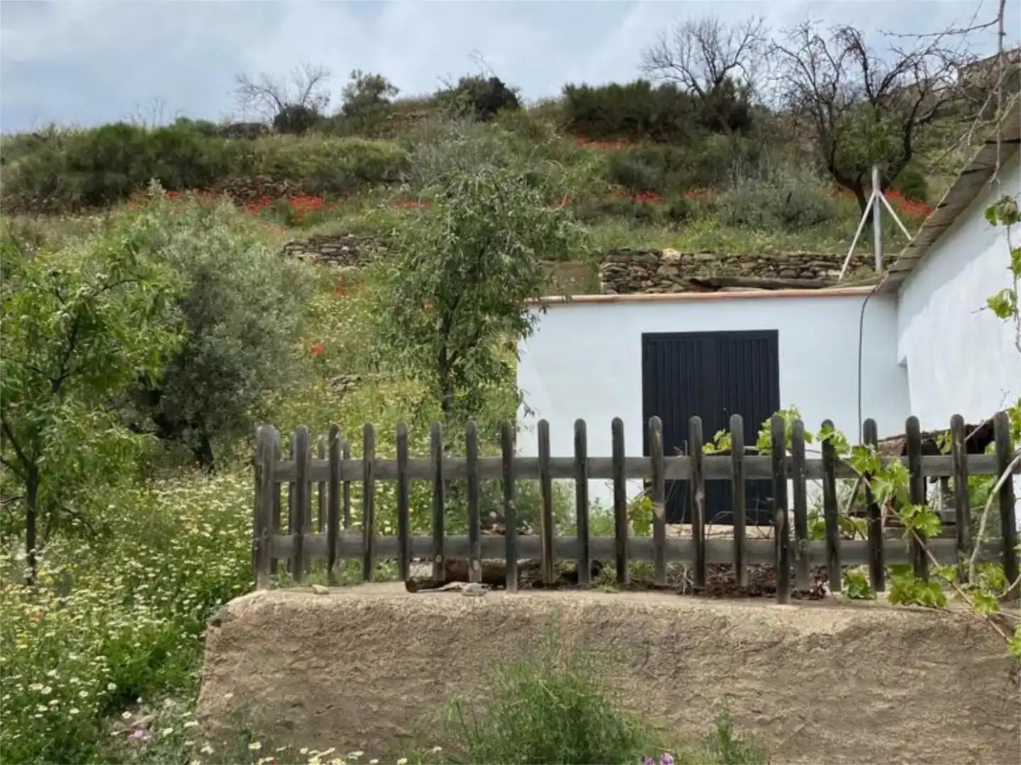 Finca rústica en venda en Abla