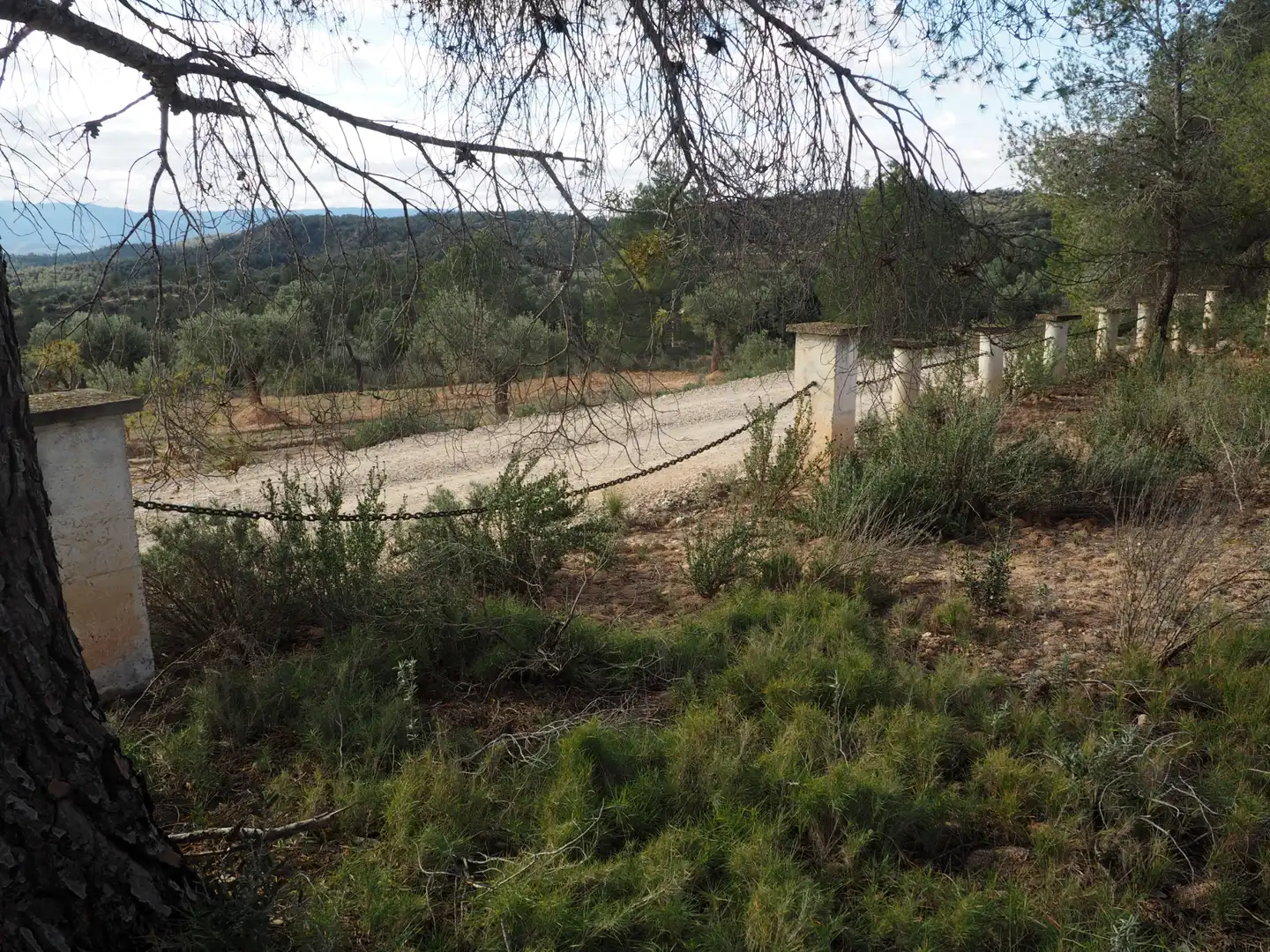 Terrain rustique à vendre à Avinguda Colònia 5, imagen 19