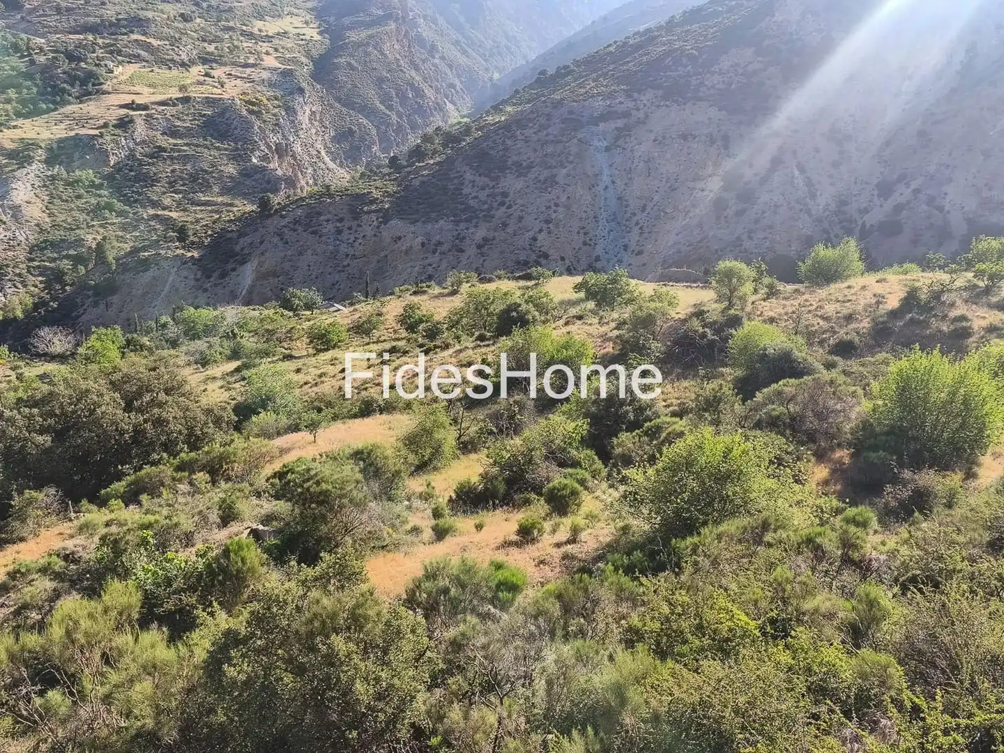 Rural land for sale in XFPP+9QX Nigüelas 0, imagen 4